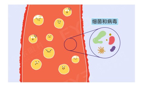 圖片.png