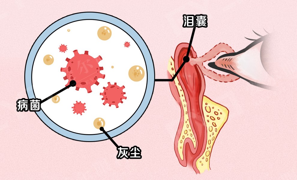 圖片.png