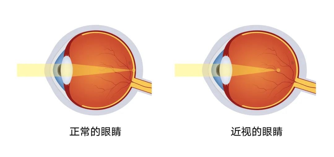 圖片.png
